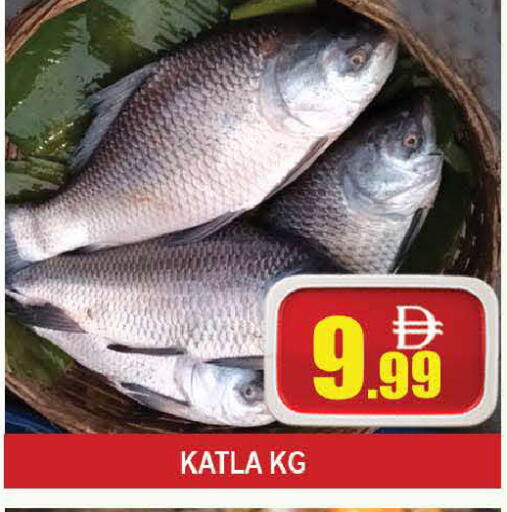 available at المدينة in الإمارات العربية المتحدة , الامارات - دبي