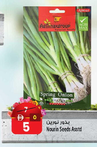 Onion available at Safari Hypermarket  in UAE - Dubai