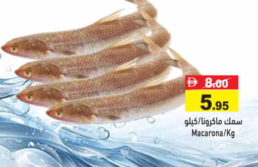 available at أسواق رامز in الإمارات العربية المتحدة , الامارات - رَأْس ٱلْخَيْمَة