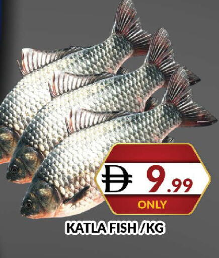 available at المدينة in الإمارات العربية المتحدة , الامارات - دبي