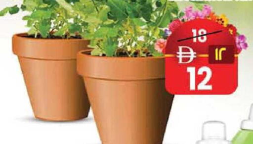 available at Safari Hypermarket in UAE - Sharjah / Ajman