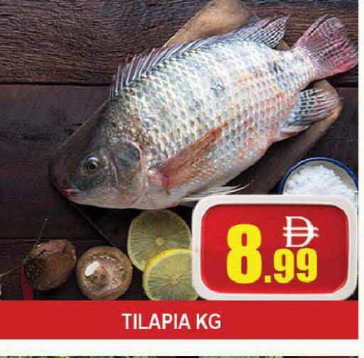 available at المدينة in الإمارات العربية المتحدة , الامارات - دبي