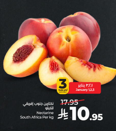 Nectarine from South Africa available at لولو هايبرماركت in مملكة العربية السعودية, السعودية, سعودية - خميس مشيط
