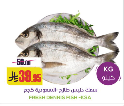 available at Sapt in KSA, Saudi Arabia, Saudi - Buraidah