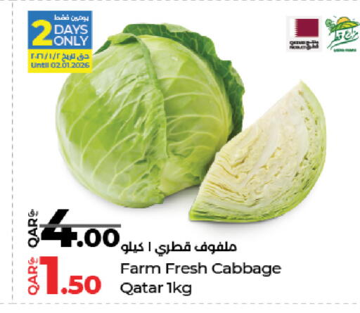 Cabbage from Qatar available at LuLu Hypermarket in Qatar - Al Wakra