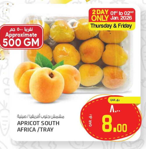 Apricot from South Africa available at كنز ميني مارت in قطر - الدوحة