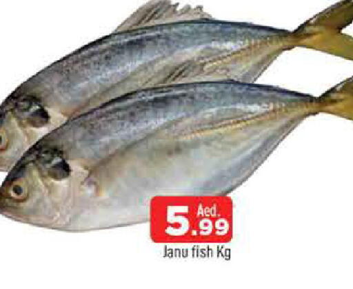 available at AL MADINA in UAE - Sharjah / Ajman