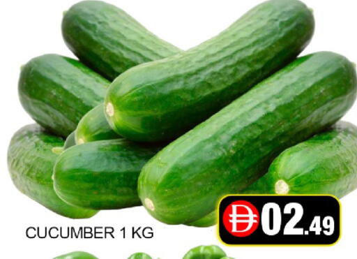 Mango Cucumber available at Mango Hypermarket LLC in UAE - Dubai