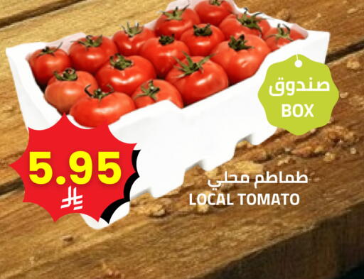 Tomato available at Astra Markets in KSA, Saudi Arabia, Saudi - Tabuk