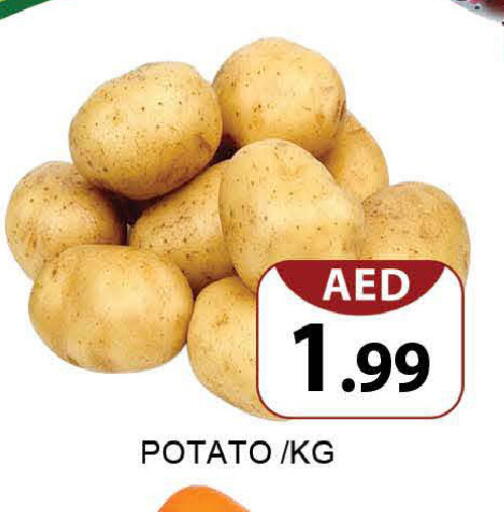 Potato available at المدينة in الإمارات العربية المتحدة , الامارات - دبي