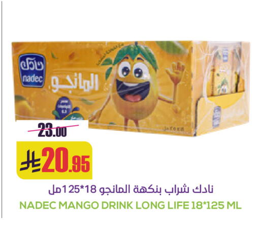 Mango available at Sapt in KSA, Saudi Arabia, Saudi - Buraidah
