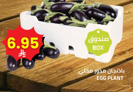 available at Astra Markets in KSA, Saudi Arabia, Saudi - Tabuk