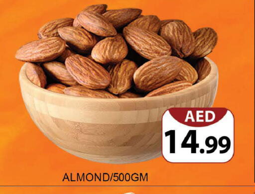 available at المدينة in الإمارات العربية المتحدة , الامارات - دبي