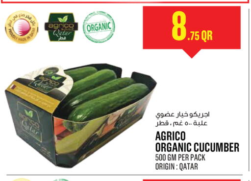 Cucumber available at Monoprix in Qatar - Al Daayen