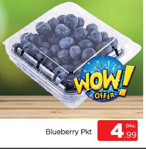Blueberry BlueBerry available at المدينة in الإمارات العربية المتحدة , الامارات - دبي