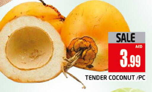 Coconut available at المدينة in الإمارات العربية المتحدة , الامارات - دبي