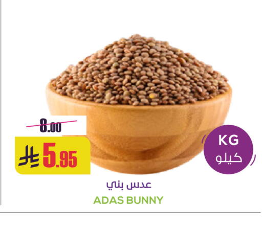 available at Sapt in KSA, Saudi Arabia, Saudi - Buraidah