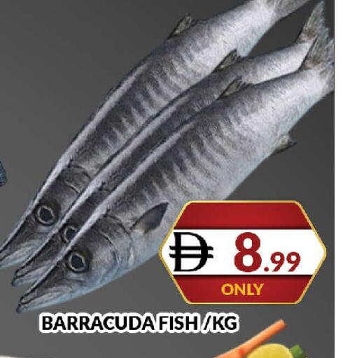 available at المدينة in الإمارات العربية المتحدة , الامارات - دبي