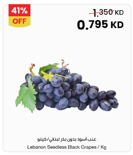 Grapes available at The Sultan Center in Kuwait - Ahmadi Governorate