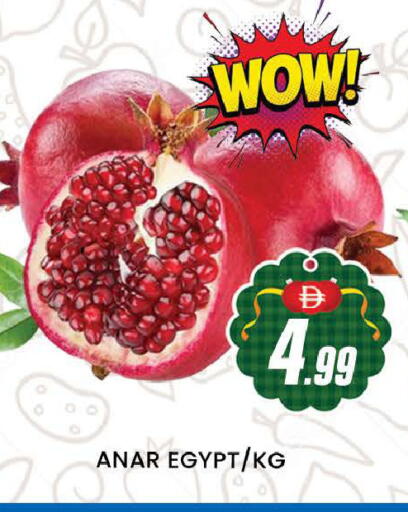 from Egypt available at المدينة in الإمارات العربية المتحدة , الامارات - دبي