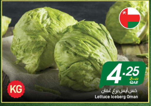 Lettuce from Oman available at ســبــار in قطر - الخور