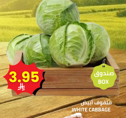 Cabbage available at Astra Markets in KSA, Saudi Arabia, Saudi - Tabuk