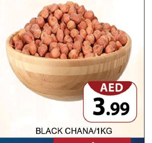 available at AL MADINA (Dubai) in UAE - Dubai