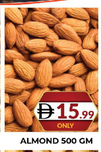 available at المدينة in الإمارات العربية المتحدة , الامارات - دبي