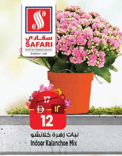 available at Safari Hypermarket  in UAE - Dubai