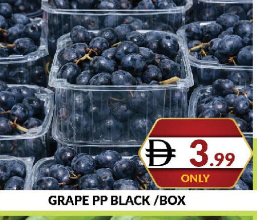 available at المدينة in الإمارات العربية المتحدة , الامارات - دبي