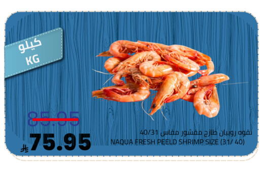 available at Astra Markets in KSA, Saudi Arabia, Saudi - Tabuk