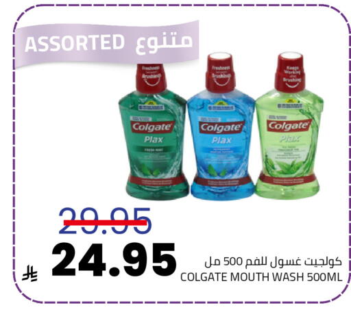 Mint available at Astra Markets in KSA, Saudi Arabia, Saudi - Tabuk