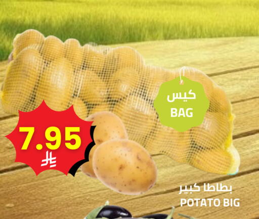 Potato available at Astra Markets in KSA, Saudi Arabia, Saudi - Tabuk