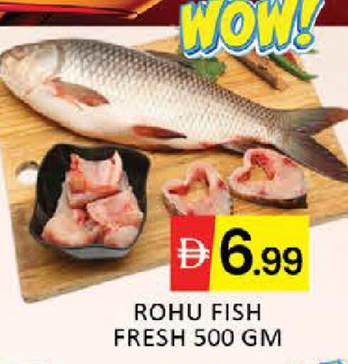 Mango available at مانجو هايبرماركت in الإمارات العربية المتحدة , الامارات - دبي