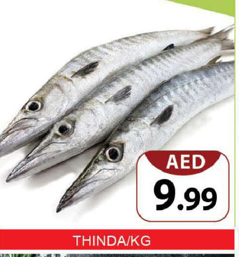 available at المدينة in الإمارات العربية المتحدة , الامارات - دبي