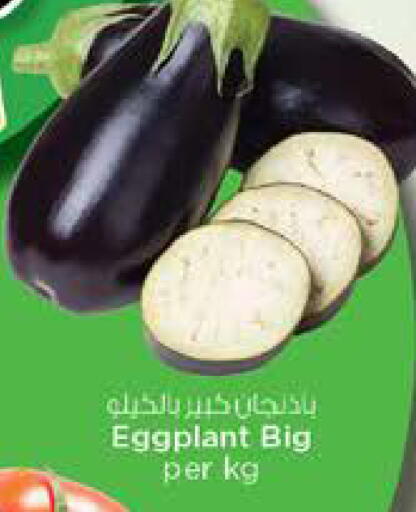 Eggplant available at نستو هايبرماركت in الإمارات العربية المتحدة , الامارات - الشارقة / عجمان