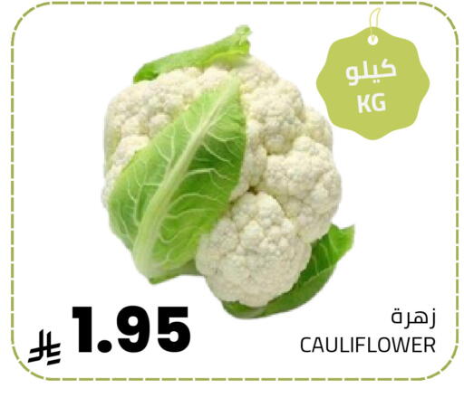 Cauliflower available at Astra Markets in KSA, Saudi Arabia, Saudi - Tabuk
