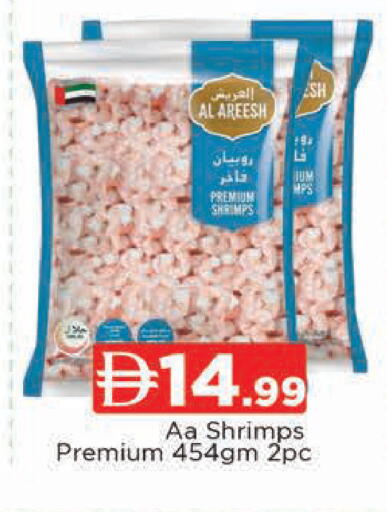 available at المدينة in الإمارات العربية المتحدة , الامارات - دبي