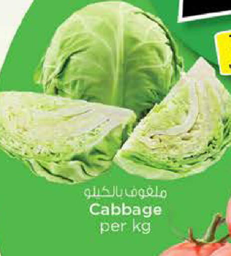 Cabbage available at نستو هايبرماركت in الإمارات العربية المتحدة , الامارات - الشارقة / عجمان