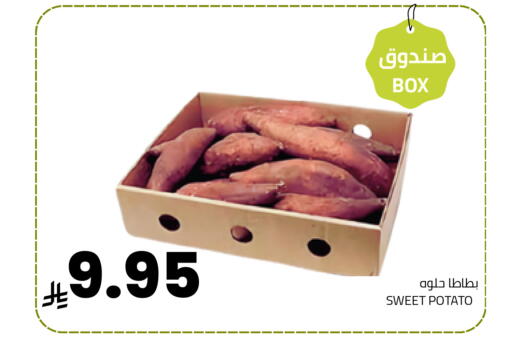 Sweet Potato available at Astra Markets in KSA, Saudi Arabia, Saudi - Tabuk
