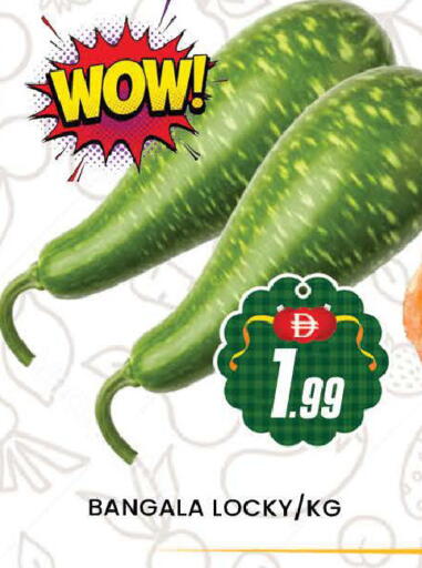 available at المدينة in الإمارات العربية المتحدة , الامارات - دبي