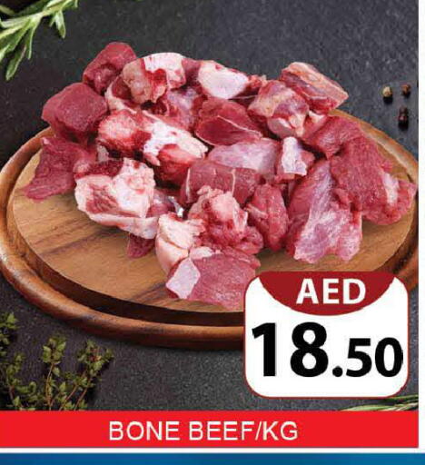 available at المدينة in الإمارات العربية المتحدة , الامارات - دبي