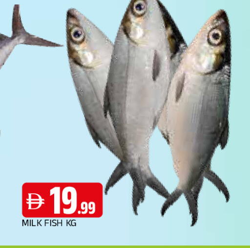 available at AL MADINA in UAE - Sharjah / Ajman