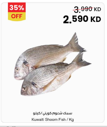 available at مركز سلطان in الكويت - محافظة الأحمدي