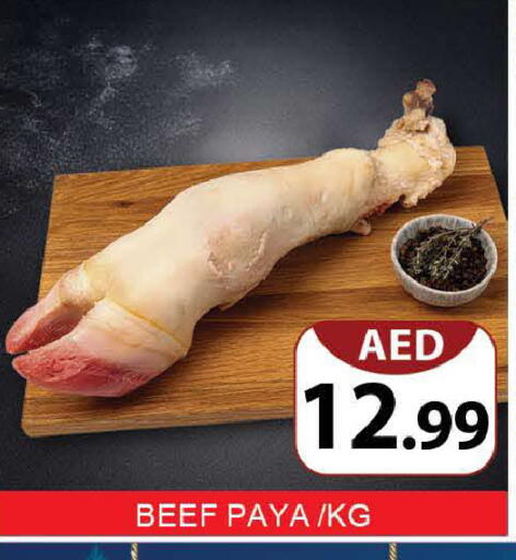 available at المدينة in الإمارات العربية المتحدة , الامارات - دبي