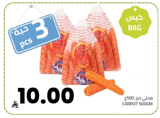 Carrot available at Astra Markets in KSA, Saudi Arabia, Saudi - Tabuk