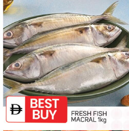 available at TALAL MARKET in UAE - Sharjah / Ajman