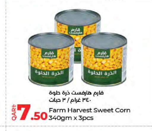 available at LuLu Hypermarket in Qatar - Doha