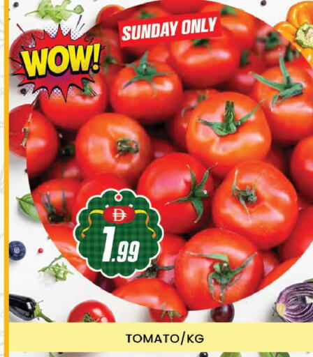 Tomato available at المدينة in الإمارات العربية المتحدة , الامارات - دبي