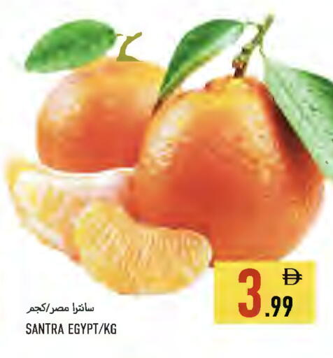 from Egypt available at Rawabi Market Ajman in UAE - Sharjah / Ajman